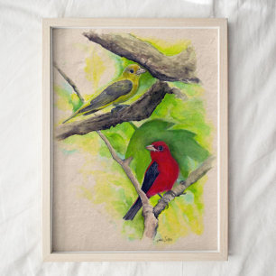 Scarlet Tanagers Birds Waterverf Art Print