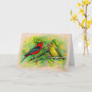 Scarlet Tanagers Waterverf Colored Pencil Tekening Kaart