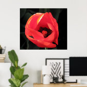 Scarlet Tulip Poster (Thuiskantoor)