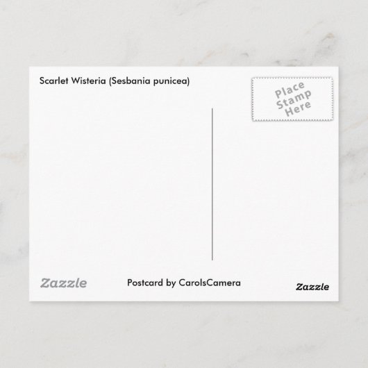 Scarlet Wisteria (Sesbania punicea) OBX NC reeks Briefkaart (Achterkant)