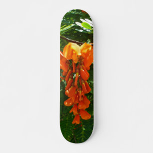 Scarlet Wisteria (Sesbania punicea) Skateboard