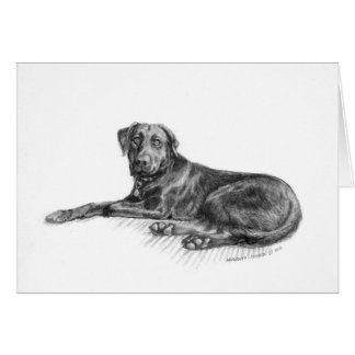 Scarlett het zwarte lab.