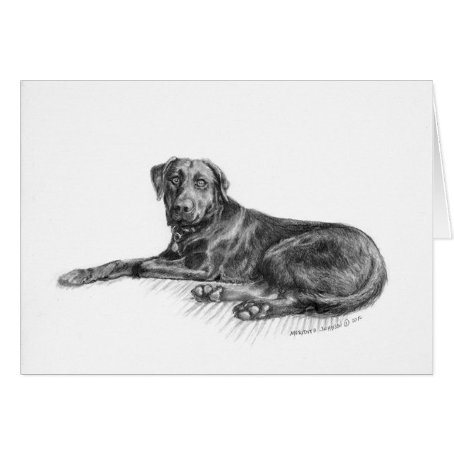 Scarlett le laboratoire noir (Devant horizontal)