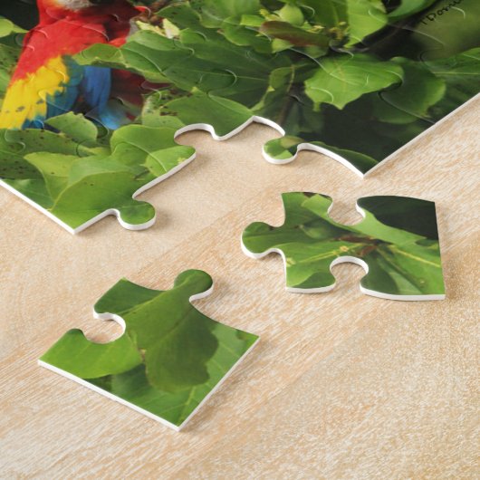 Scarlett Macaws in Almond tree Jigsaw Puzzle (Côté)