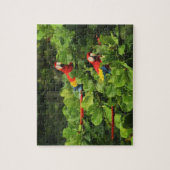 Scarlett Macaws in Almond tree Jigsaw Puzzle (Vertical)