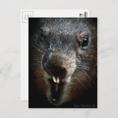 Scary Groundhog Day Briefkaart (Voorkant / Achterkant)