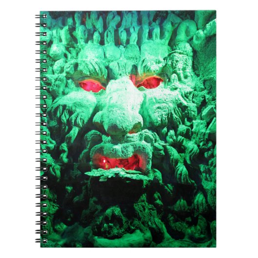Scary Mask Face in Rock Face Notitieboek (Voorkant)