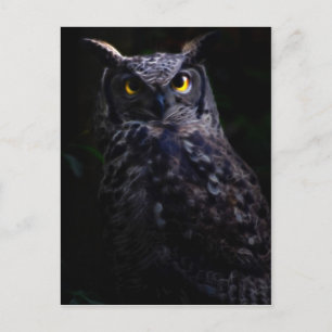 Scary owl Halloween Briefkaart