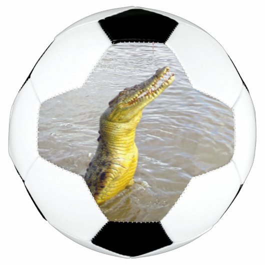 Scary Snappers : Le Saut du Crocodile, (Devant)