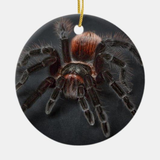 Scary Tarantula Spider Arachnofobie Keramisch Ornament (Voorkant)