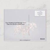 Scary Tarantula spider Briefkaart (Achterkant)