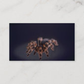 Scary Tarantula spider Visitekaartje (Achterkant)