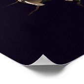 Scary Wall Breakout Dinosaur T-Rex Poster Print (Coin)