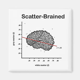 Scatter-geremd Magneet