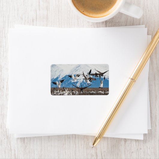 Scattering Geese Etiket (Insitu)