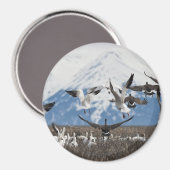 Scattering Geese Magneet (Voorkant / Achterkant)