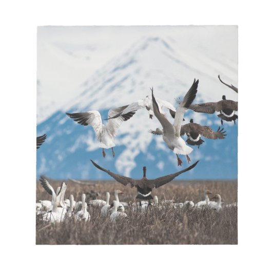 Scattering Geese Notitieblok (Voorkant)