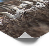Scattering Geese Poster (Hoek)