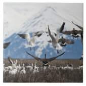 Scattering Geese Tegeltje (Voorkant)