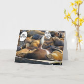 Sceau de la carte de sommeil (Fleur jaune)