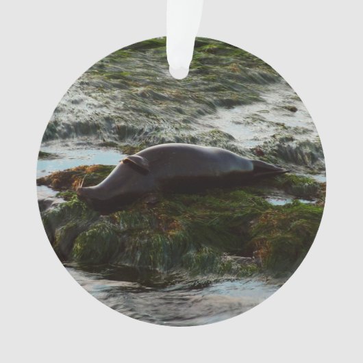 Sceau du port de Sunset Lit II à San Diego (devant)