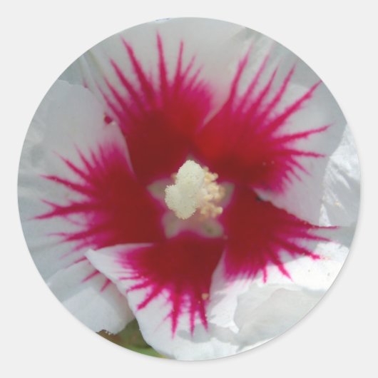 Scellé avec un STARBURST KISS ! Autocollants (Devant)