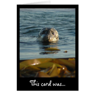 Scellé avec une carte de baiser