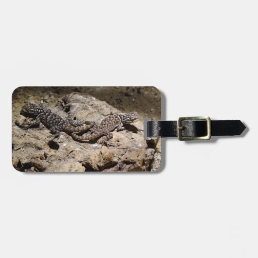 Sceloporus cyanogene bagagelabel (Voorkant horizontaal)