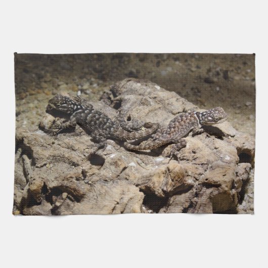 Sceloporus cyanogene theedoek (Horizontaal)