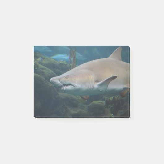 Scenary Great White Shark Post-it® Notes (Voorkant)