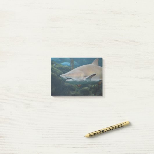Scenary Great White Shark Post-it® Notes (Op bureau)