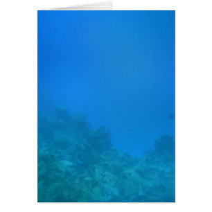 Scène Arrière - plan sous-marine