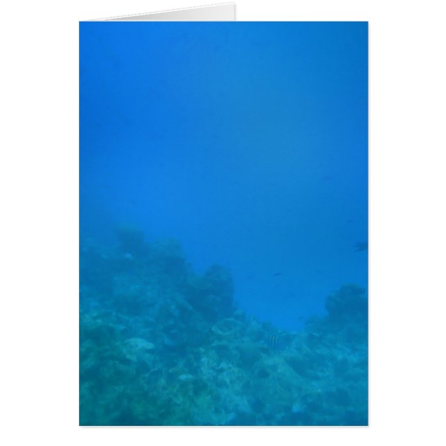 Scène Arrière - plan sous-marine (Devant)