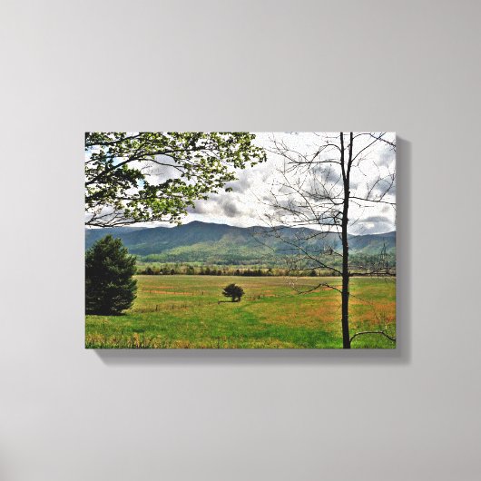 Scene Canvas, gebergte in Noord-Georgië Canvas Afdruk (Voorkant)