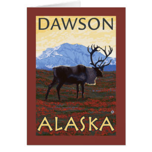 Scène Caribou - Dawson, Alaska