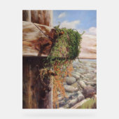 Scène côtière avec galets et bois Patiné. (Recto)