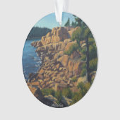 Scène côtière pittoresque dans le parc national Ac (devant)