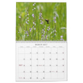 Scène dans la nature saisons dans le calendrier ph (Mar 2027)