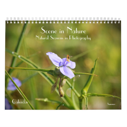 Scène dans la nature saisons dans le calendrier ph (Protection)