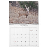 Scène dans le calendrier naturel Texas (Jan 2027)
