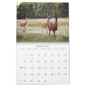 Scène dans le calendrier naturel Texas (Mar 2027)