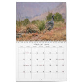 Scène dans le calendrier naturel Texas (Feb 2026)