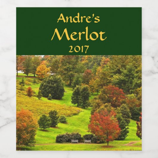 Scène d'automne dans le Parc Étiquette de vin (Étiquettes simples)