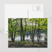 Scène De Bois. Blackweir Woods, carte postale Card (Devant / Derrière)