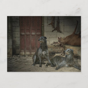 Scène de chasse : le butin (deel. 3) briefkaart