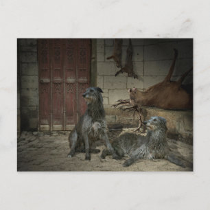 Scène de chasse : le butin (deel 3) briefkaart