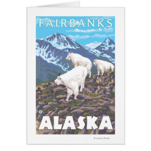 Scène de chèvres de montagne - Fairbanks, Alaska