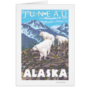 Scène de chèvres de montagne - Juneau, Alaska
