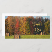 Scène de ferme de Merci (Devant / Derrière)