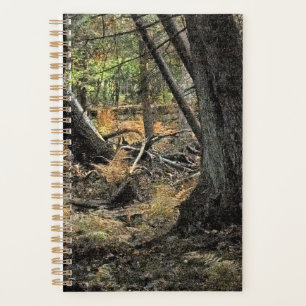 Scène de forêt automnale